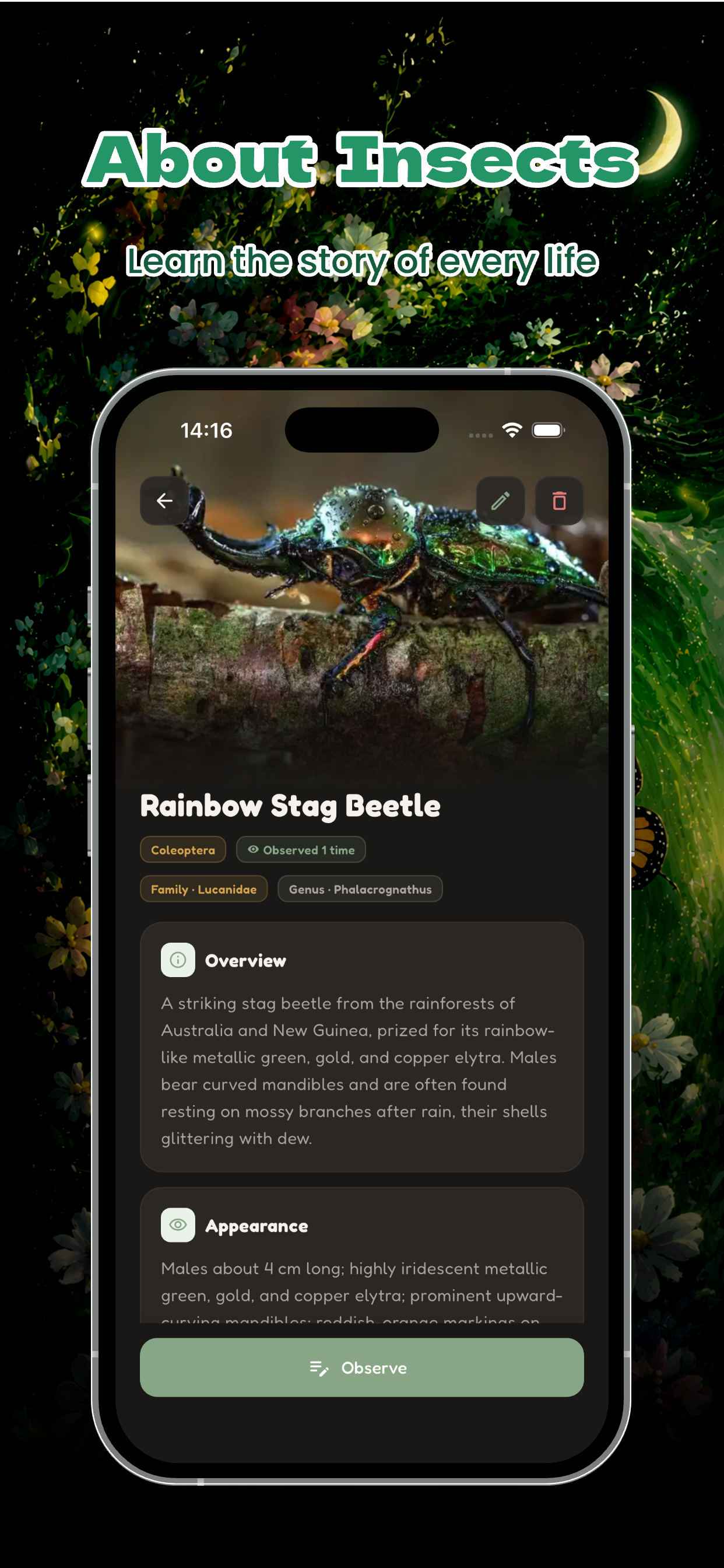 Insect Profile
